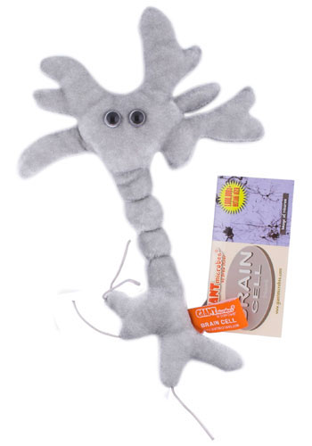 plush%20neuron.jpg